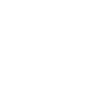 logo-levis.png